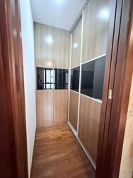 Holland Link (D10), Terrace #559708851